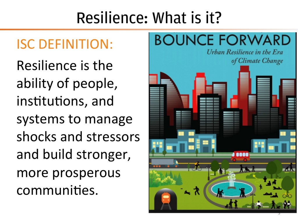 community resilience essay