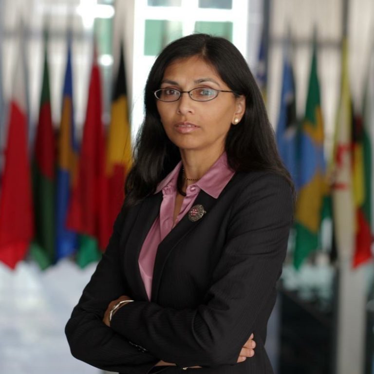 Nisha Biswal, Board