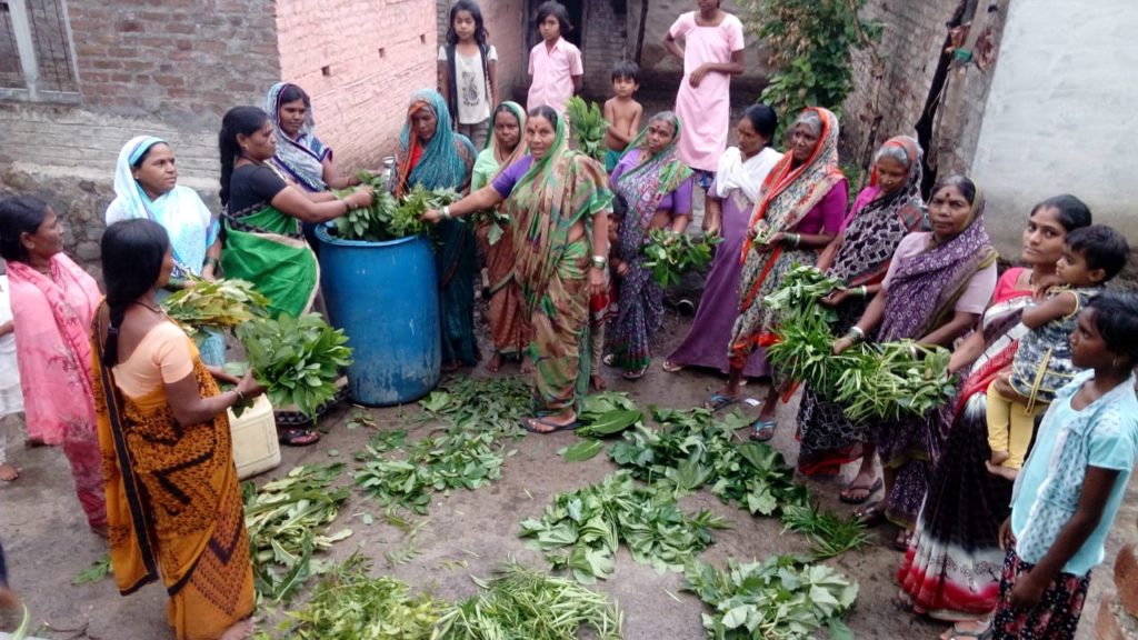 Women farmers producing bio-fertilizers and bio-pesticides