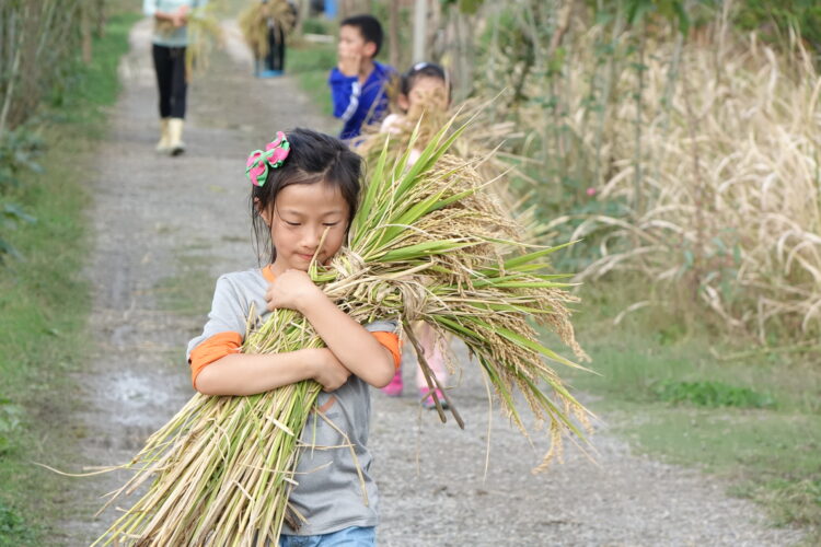 Strengthen local capacity with tailored training and technical assistance. image