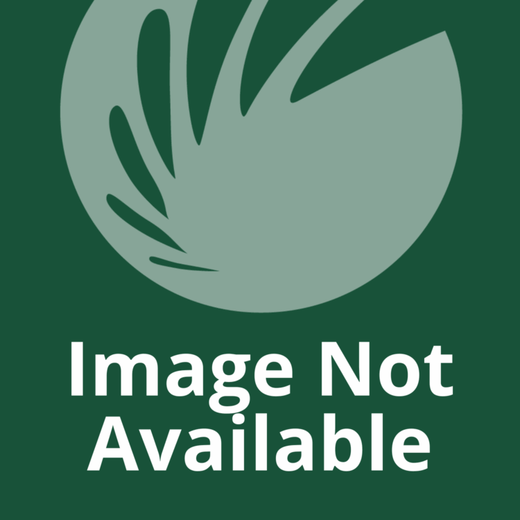 Cora Martin image