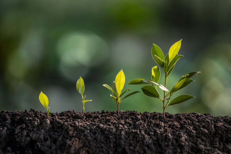 Create scalable solutions image