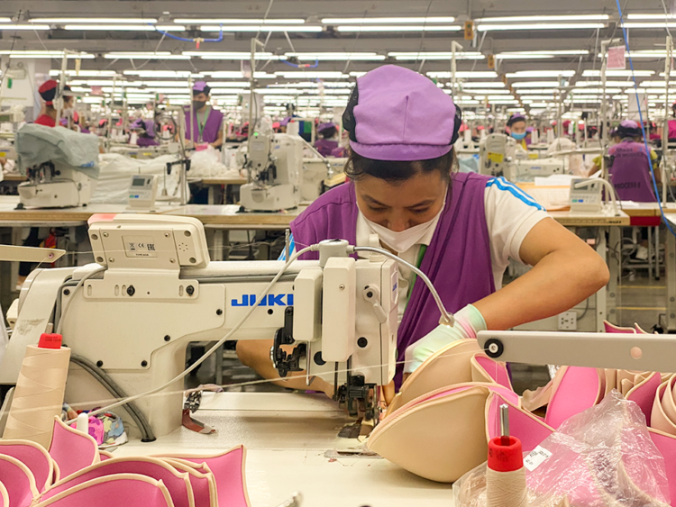 Mekong Sustainable Manufacturing Alliance image