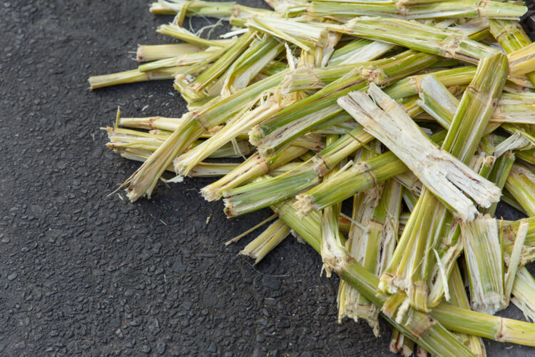 Sustainable Biomass Guidelines & Risk Assessment Tool image