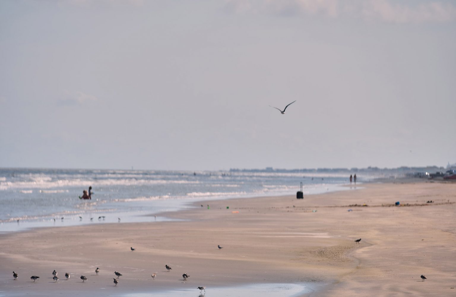 Birds gather along the cost of Follett's Island Beach in Brazoria County in Texas May 17, 2022. Each year, hurricane season brings devastating impacts to vulnerable communities along the upper Texas Gulf Coast.